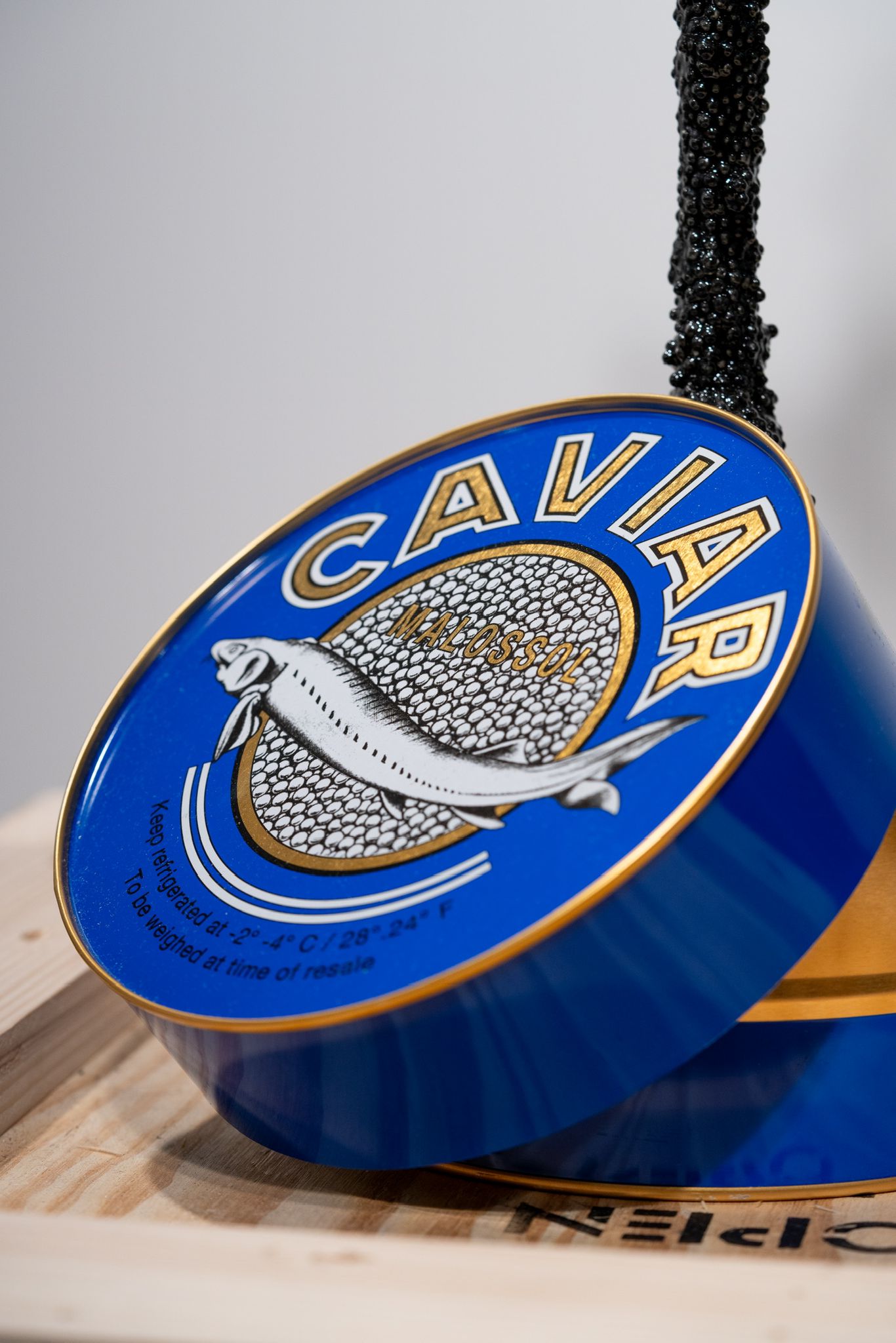 Thomar- Fontaine Caviar (bleu foncé)