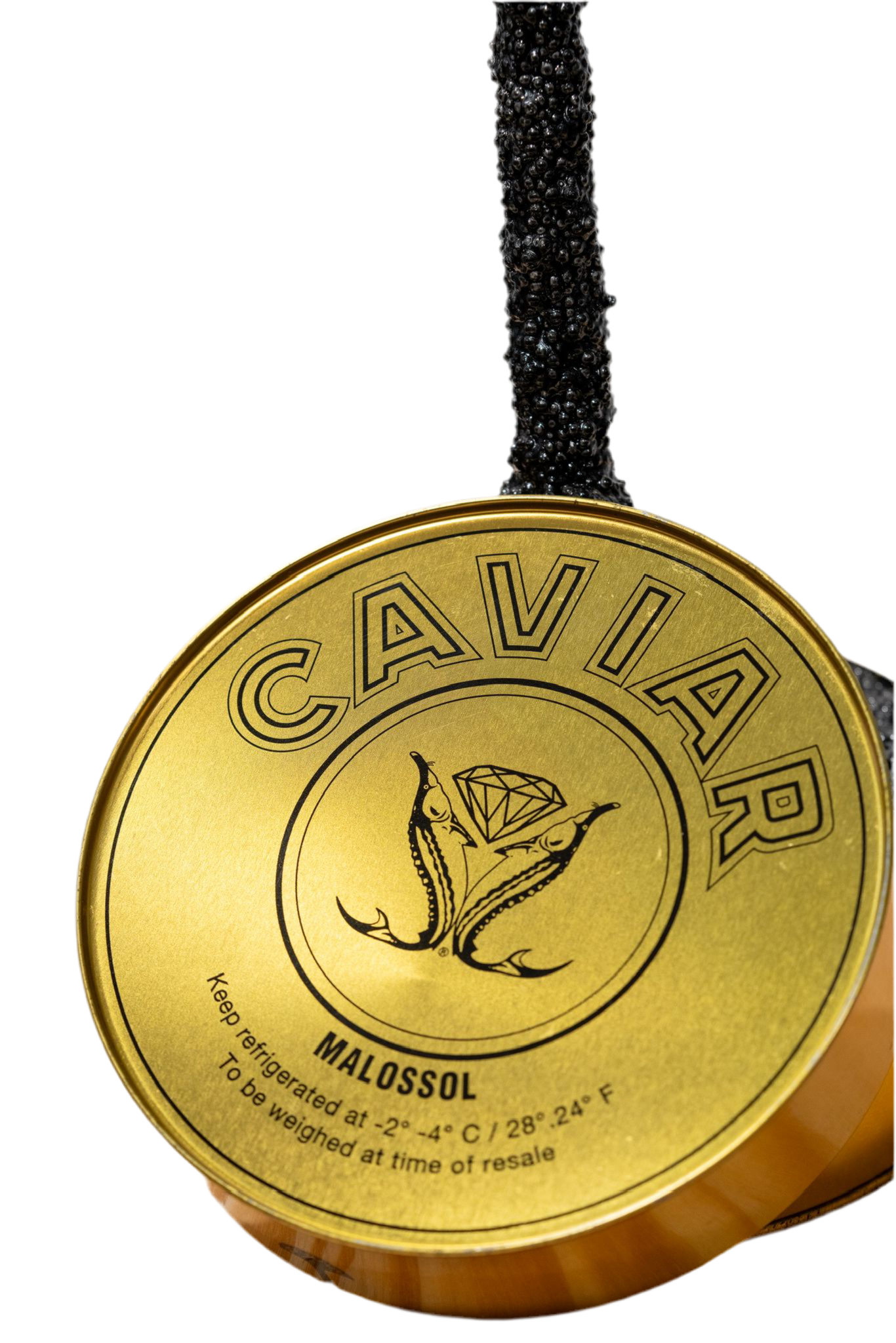 Thomar- Fontaine Caviar (gold)